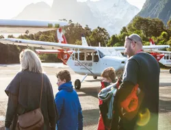 From Queenstown: Round Trip Flyover & Milford Sound Nature Walk